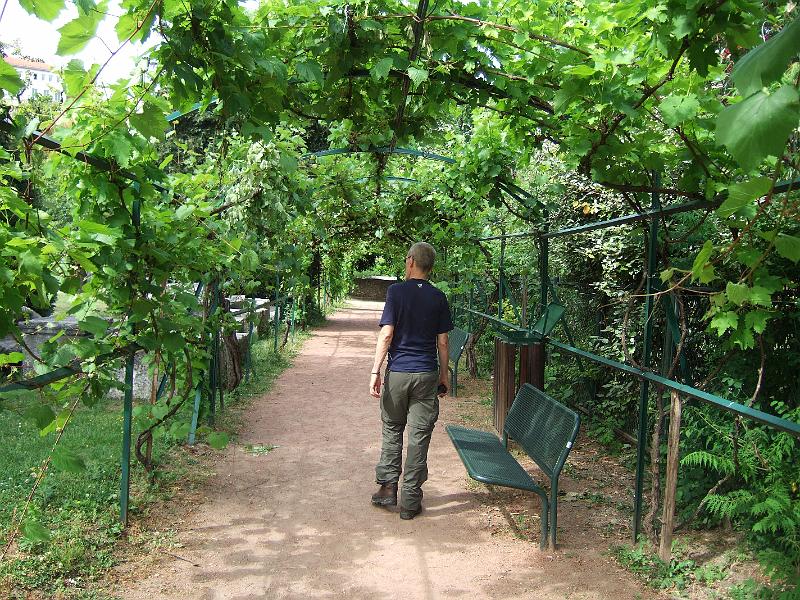 2011-05- (39).JPG